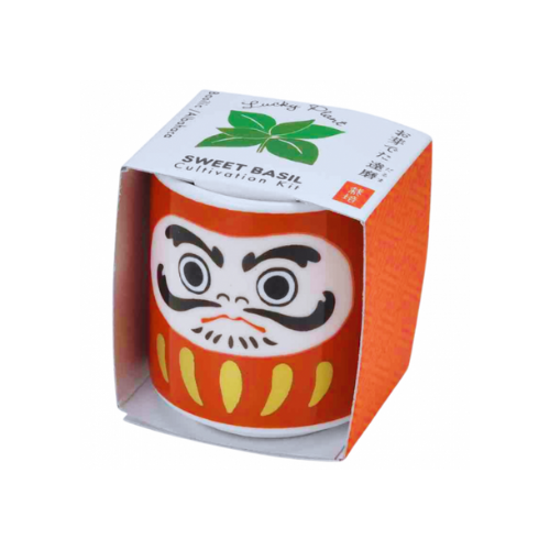 Lucky Plant Daruma