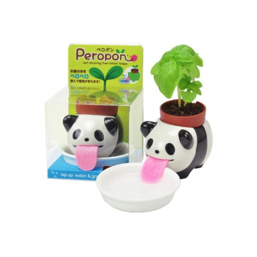 Pot Peropon Panda